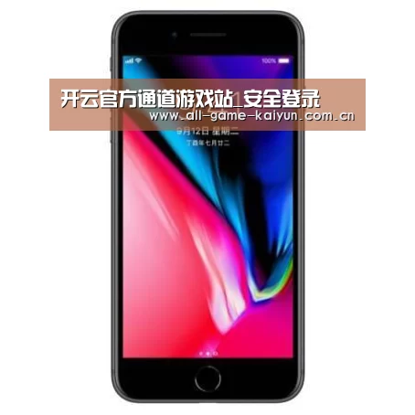 Apple iPhone 8 Plus (A1899) 64GB 深空灰色 移动联通4G手机
