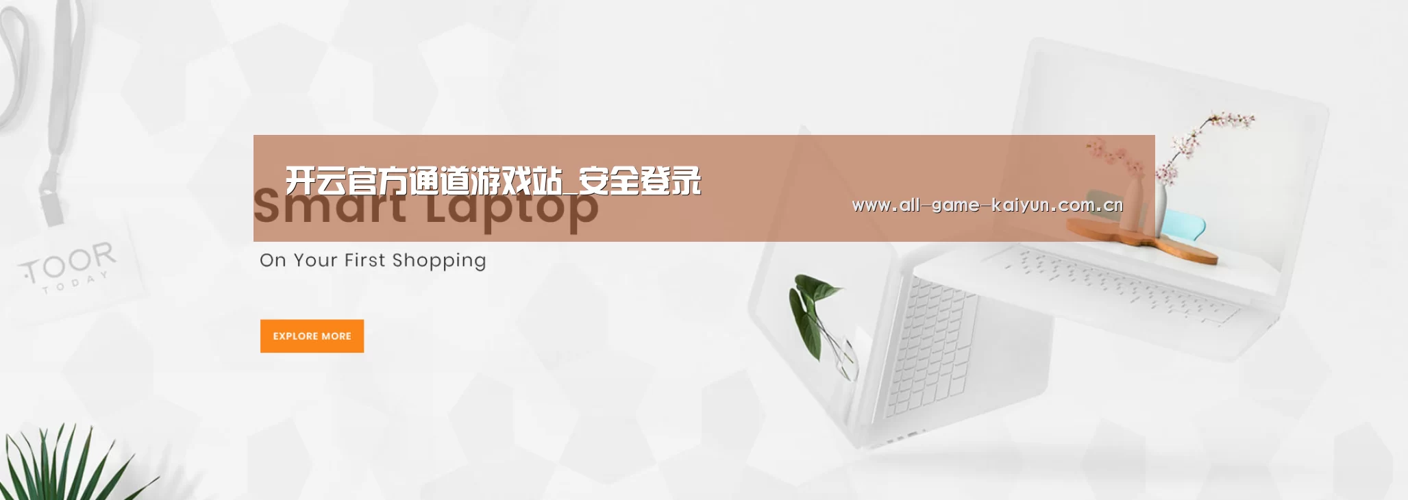 某某网络科技有限公司