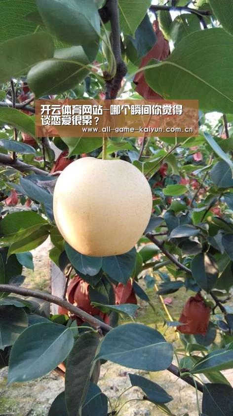 开云棋牌app下载页
