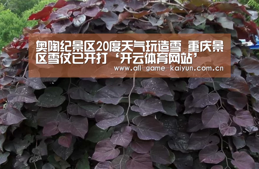 奥陶纪景区20度天气玩造雪 重庆景区雪仗已开打‘开云体育网站’(图2) 开云体育网站
