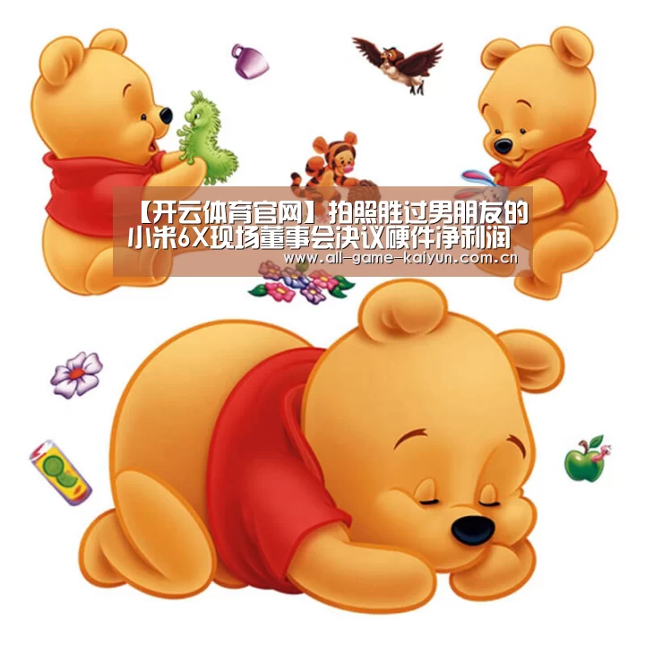 【开云体育官网】拍照胜过男朋友的小米6X现场董事会决议硬件净利润不超过5%(图2) 开元体育