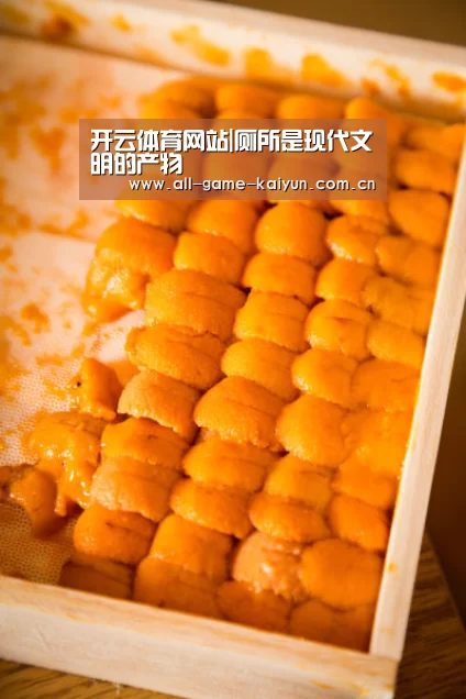 开云体育网站