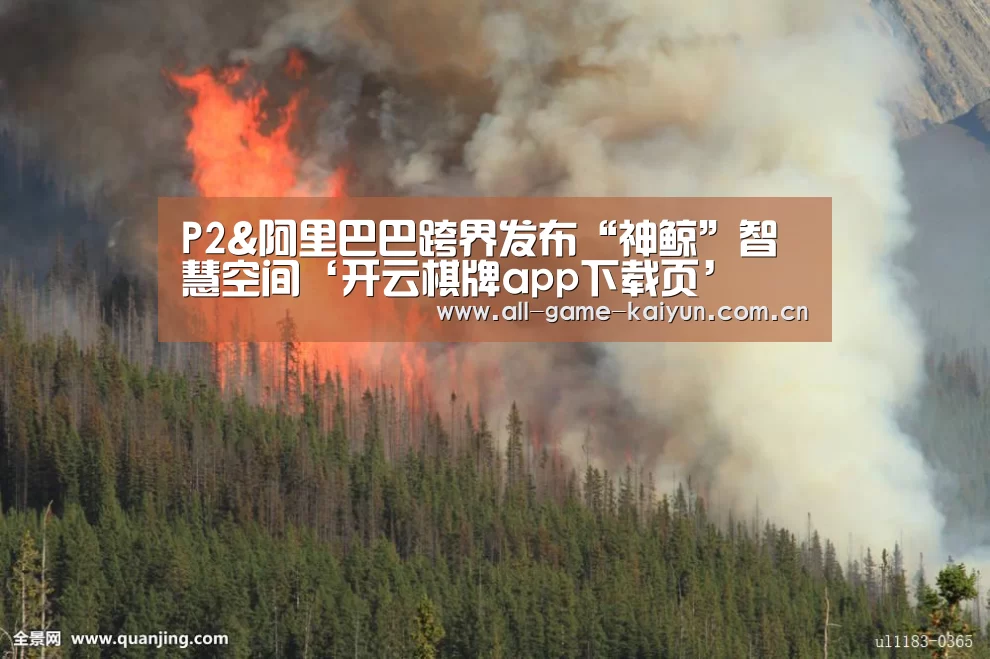 P2&阿里巴巴跨界发布“神鲸”智慧空间‘开云棋牌app下载页’(图1) 开元体育