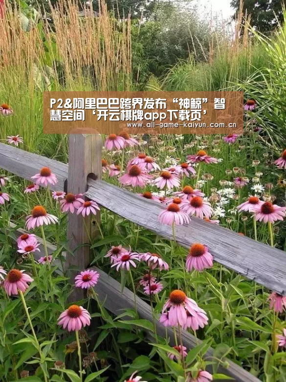 P2&阿里巴巴跨界发布“神鲸”智慧空间‘开云棋牌app下载页’(图2) 开云体育官网